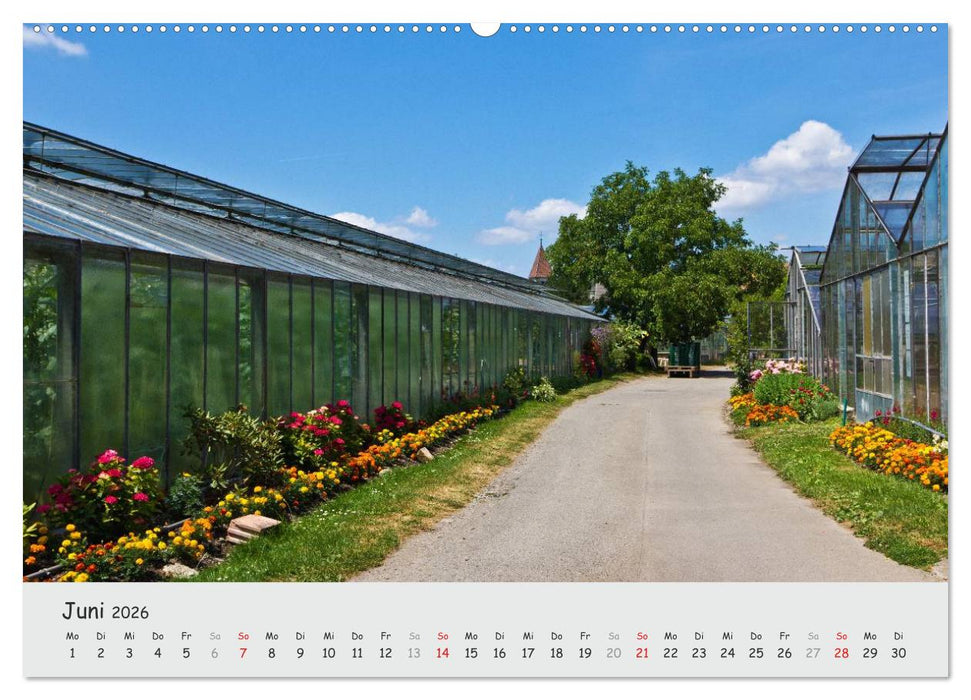 Insel Reichenau - Klosterinsel im Bodensee (CALVENDO Wandkalender 2026)