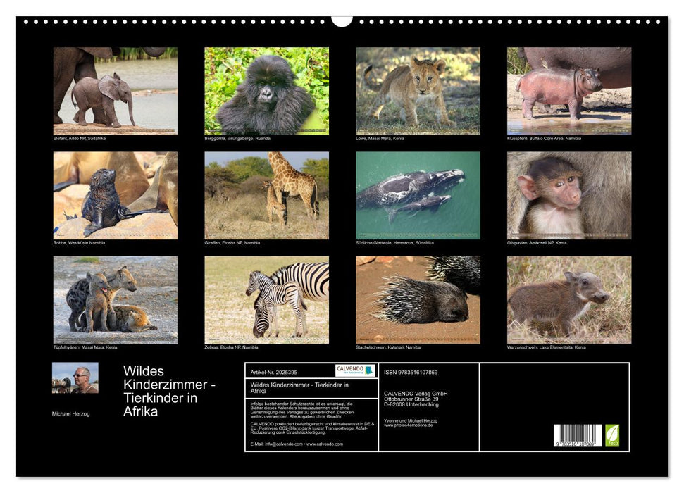 Wildes Kinderzimmer - Tierkinder in Afrika (CALVENDO Wandkalender 2026)