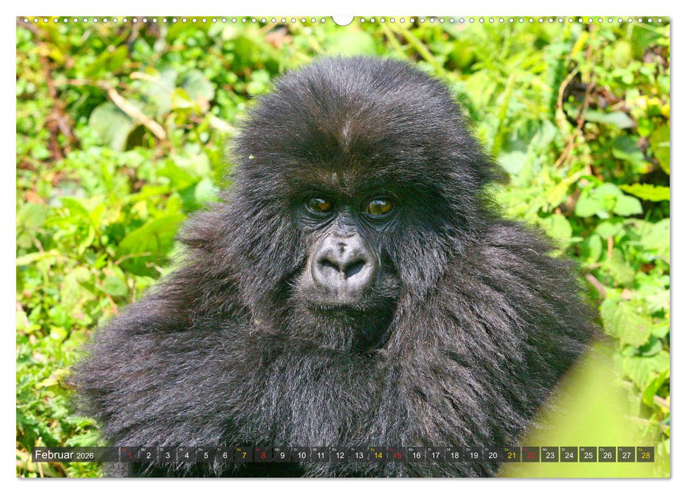 Wildes Kinderzimmer - Tierkinder in Afrika (CALVENDO Wandkalender 2026)
