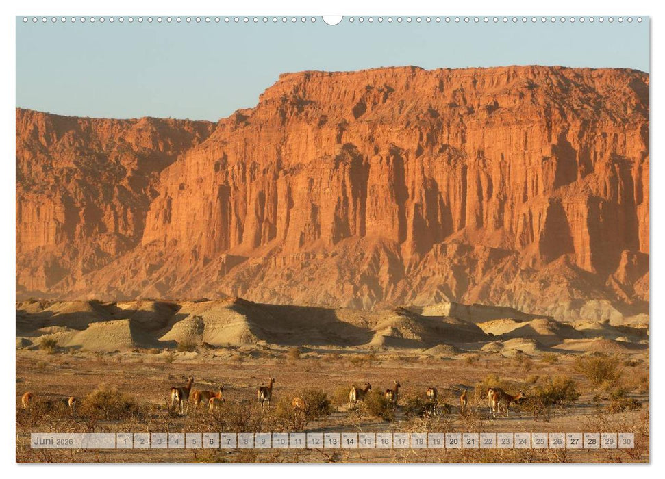 Argentinien Christian Heeb (CALVENDO Wandkalender 2026)