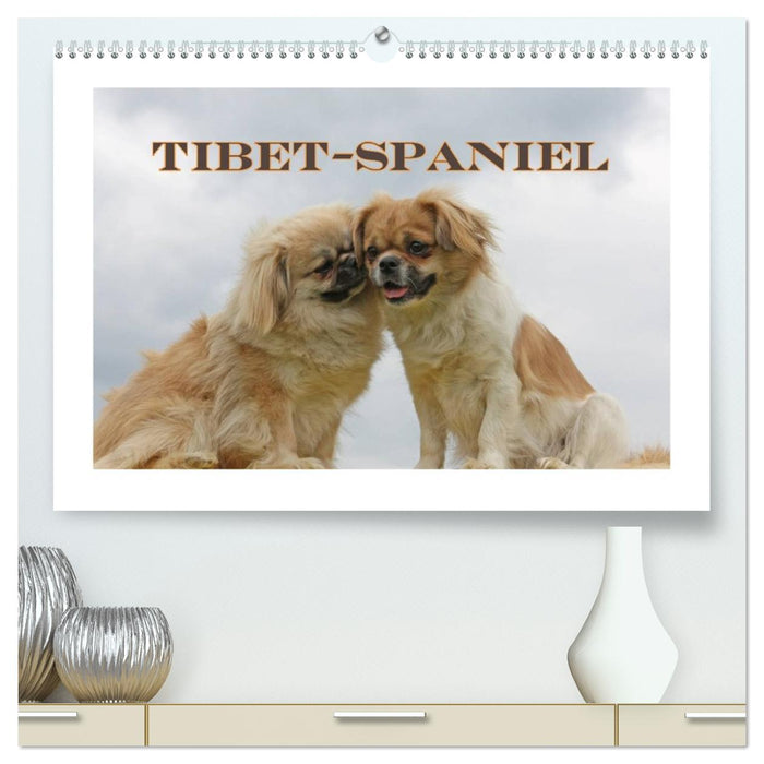 Tibet-Spaniel (CALVENDO Premium Wandkalender 2026)