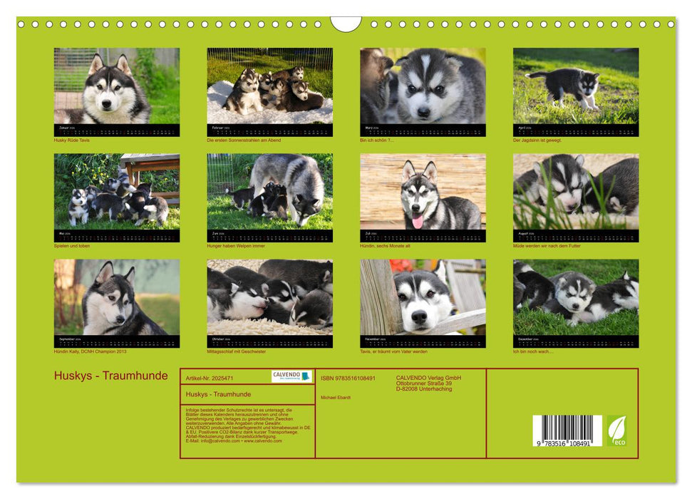 Huskys - Traumhunde (CALVENDO Wandkalender 2026)