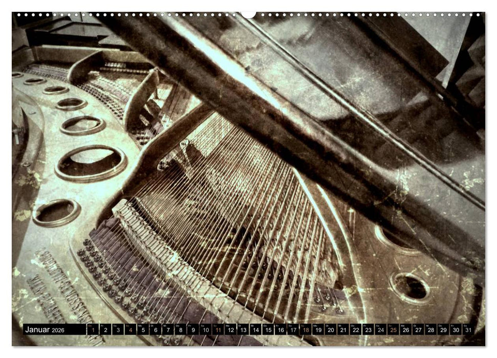 Musik im Fokus (CALVENDO Premium Wandkalender 2026)