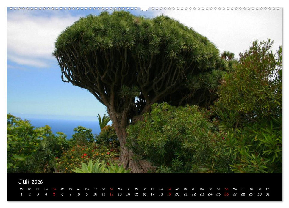 La Palma, Isla bonita (CALVENDO Premium Wandkalender 2026)