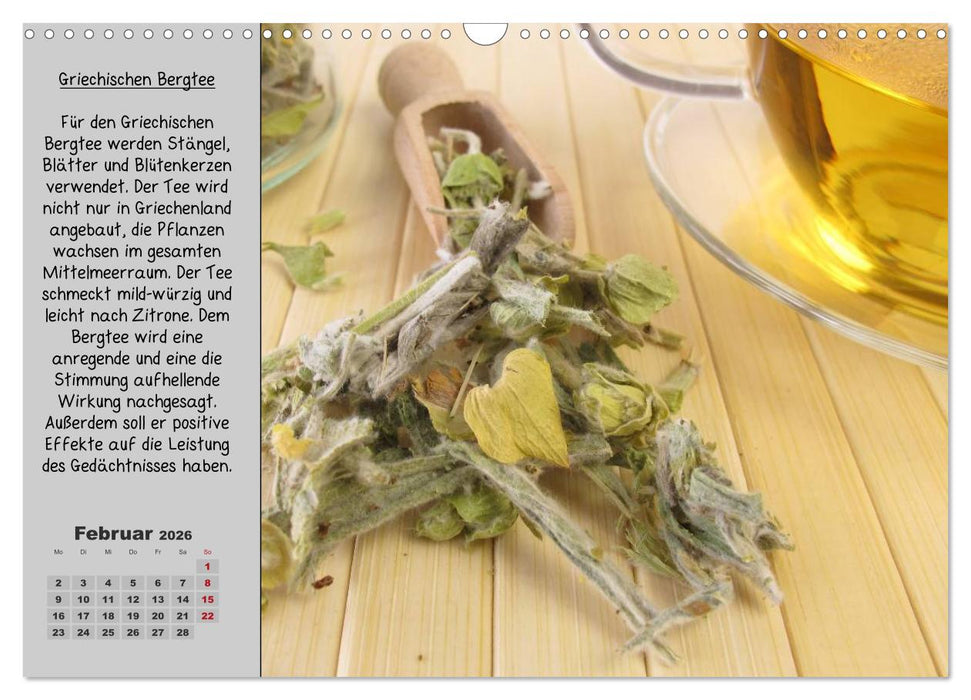 Eine kleine Teekunde - Zwölf Teesorten im Porträt (CALVENDO Wandkalender 2026)