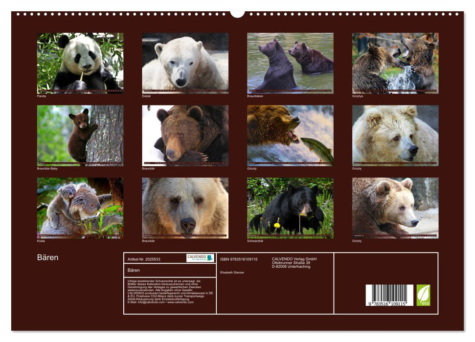 Bären (CALVENDO Premium Wandkalender 2026)