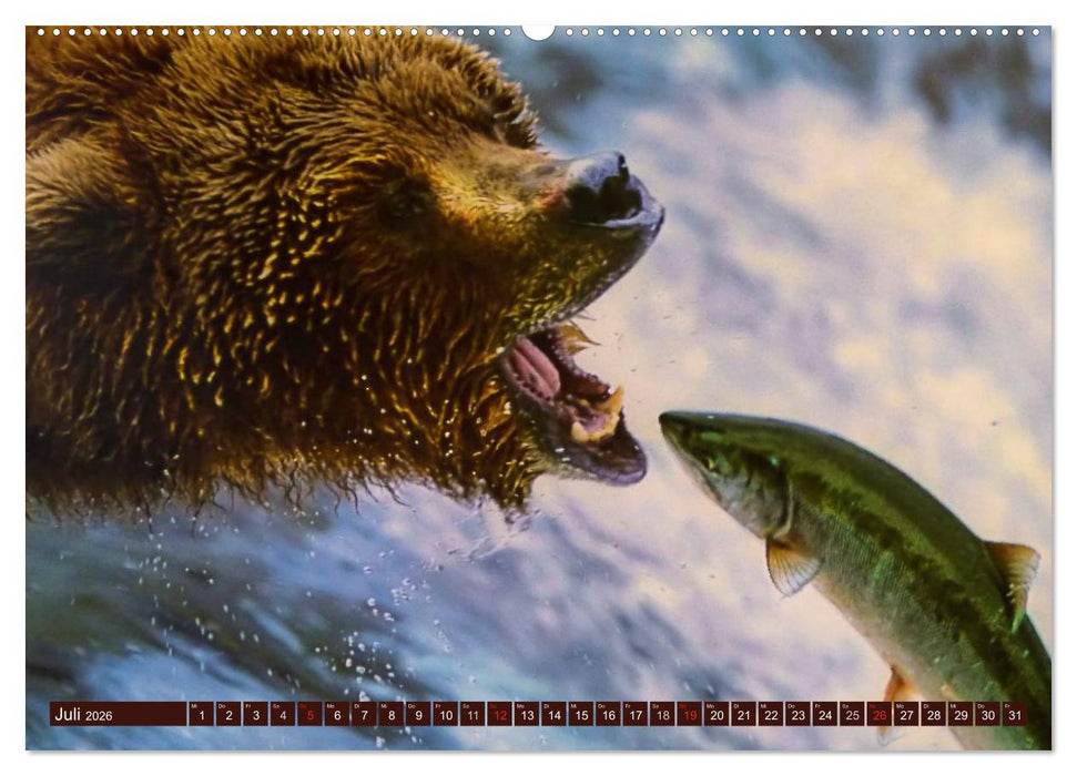 Bären (CALVENDO Premium Wandkalender 2026)