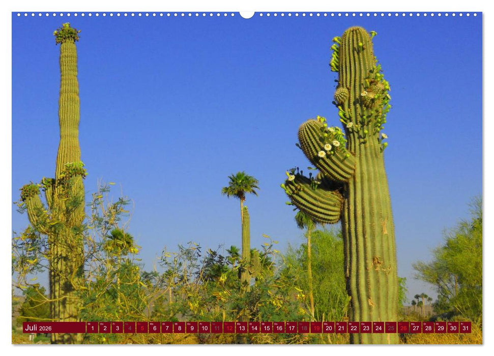 Arizona • Impressionen (CALVENDO Premium Wandkalender 2026)