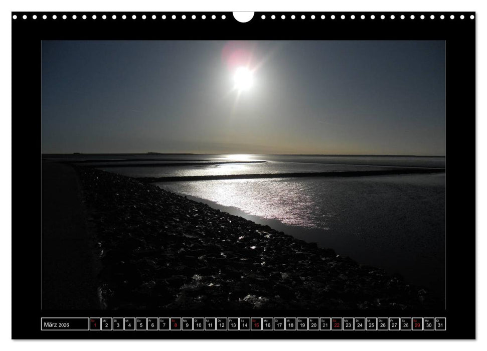 Licht über Dithmarschen (CALVENDO Wandkalender 2026)