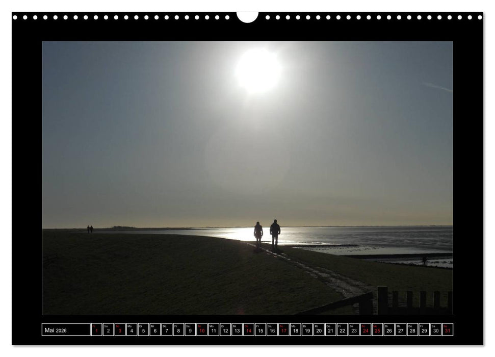 Licht über Dithmarschen (CALVENDO Wandkalender 2026)