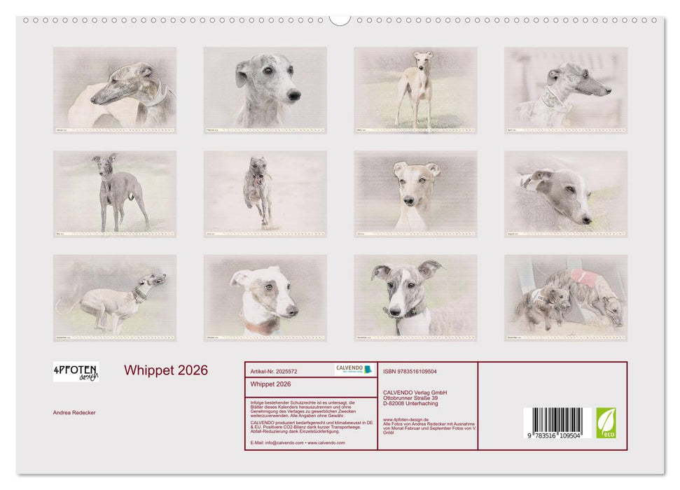 Whippet 2026 (CALVENDO Premium Wandkalender 2026)