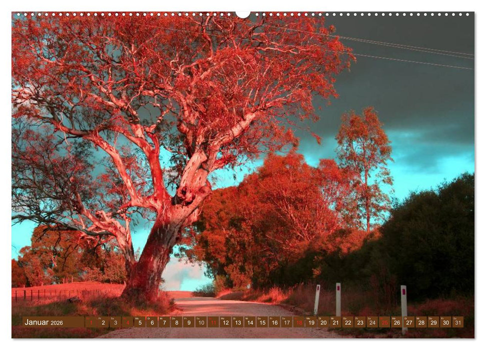 Australien • Impressionen (CALVENDO Premium Wandkalender 2026)
