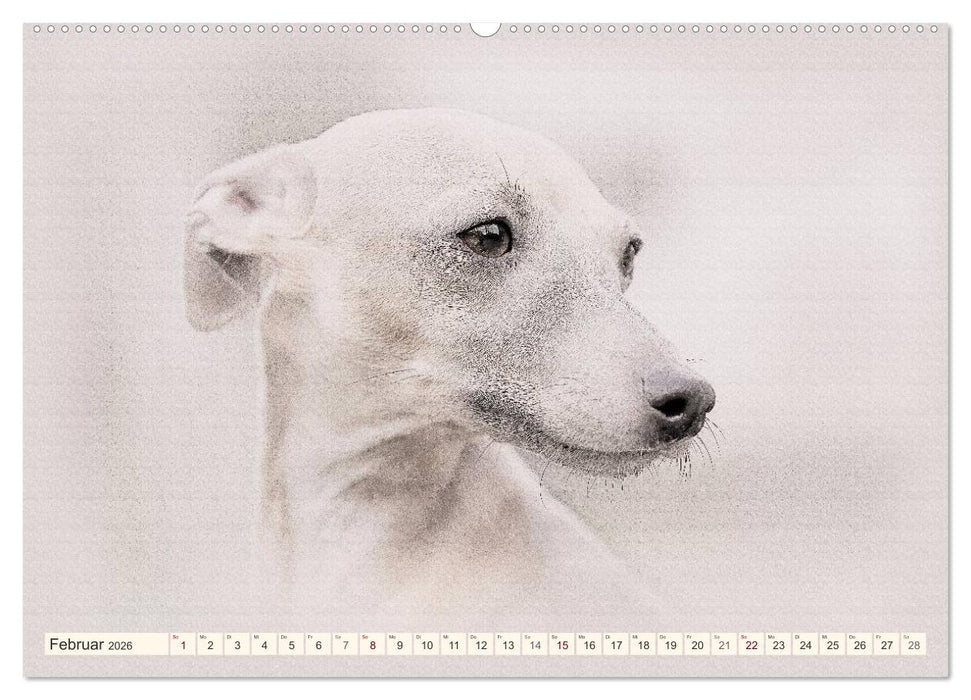 Windspiele 2026 (CALVENDO Premium Wandkalender 2026)