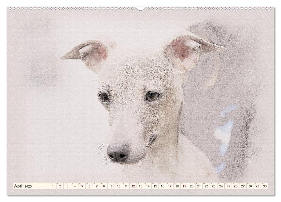 Windspiele 2026 (CALVENDO Premium Wandkalender 2026)