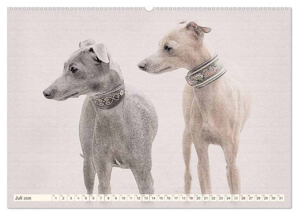 Windspiele 2026 (CALVENDO Premium Wandkalender 2026)