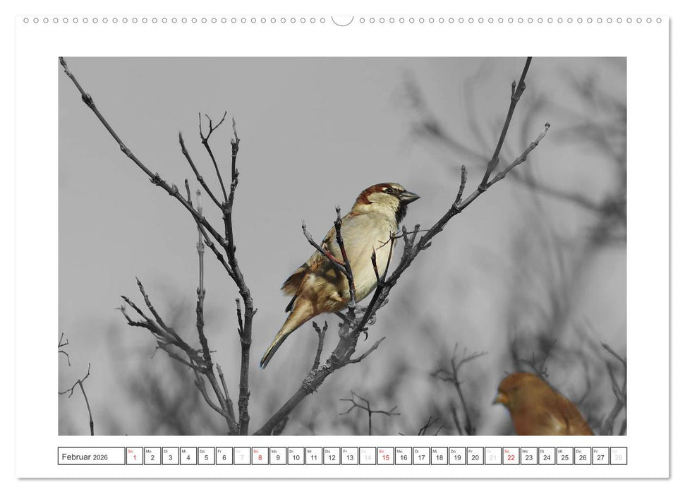 Natur schwarz - weiß Malerei (CALVENDO Premium Wandkalender 2026)