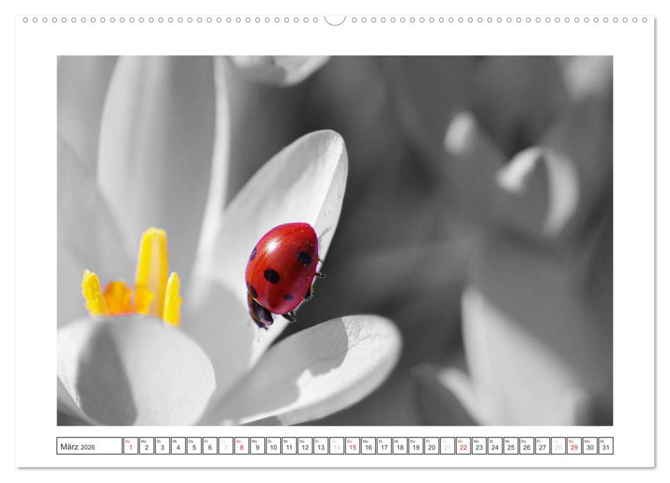 Natur schwarz - weiß Malerei (CALVENDO Premium Wandkalender 2026)