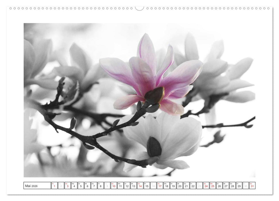 Natur schwarz - weiß Malerei (CALVENDO Premium Wandkalender 2026)
