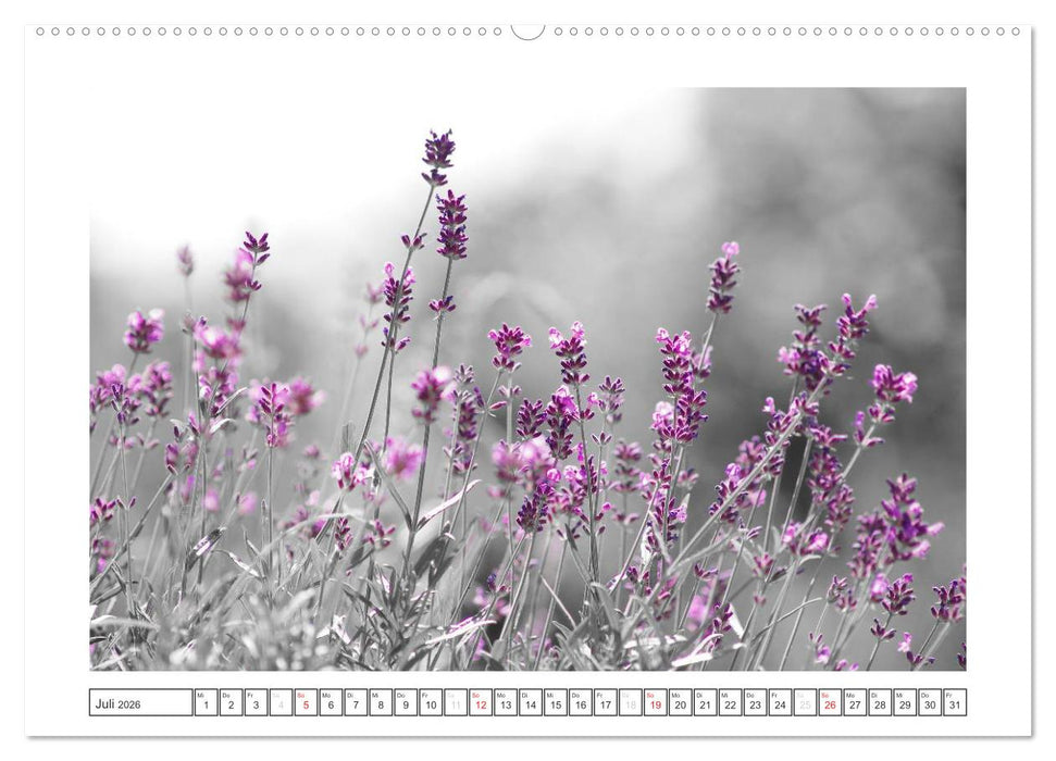 Natur schwarz - weiß Malerei (CALVENDO Premium Wandkalender 2026)