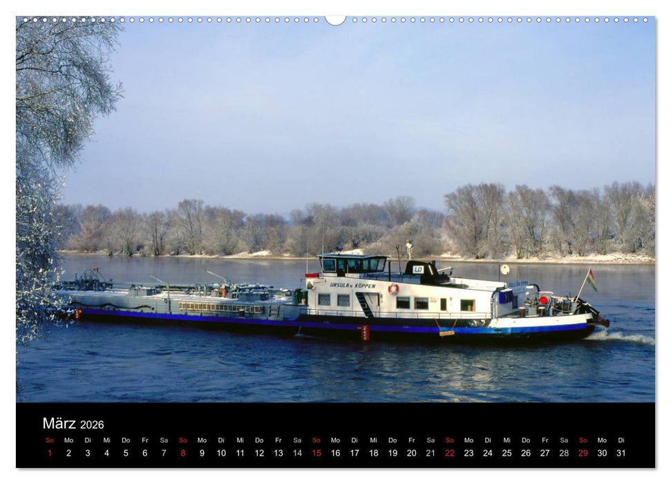 Bayerischer Wald (CALVENDO Premium Wandkalender 2026)