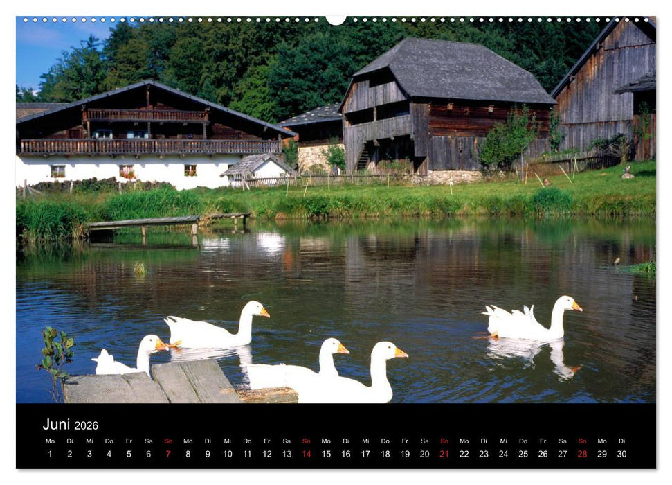 Bayerischer Wald (CALVENDO Premium Wandkalender 2026)
