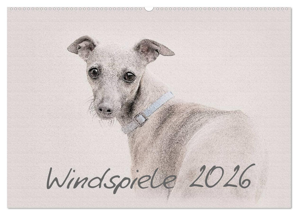 Windspiele 2026 (CALVENDO Wandkalender 2026)