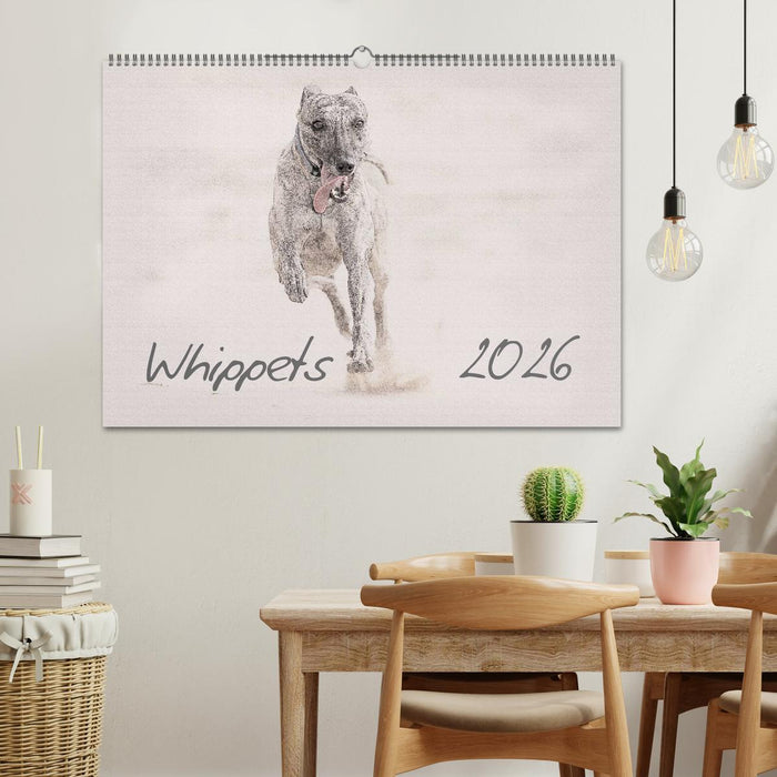 Whippet 2026 (CALVENDO Wandkalender 2026)