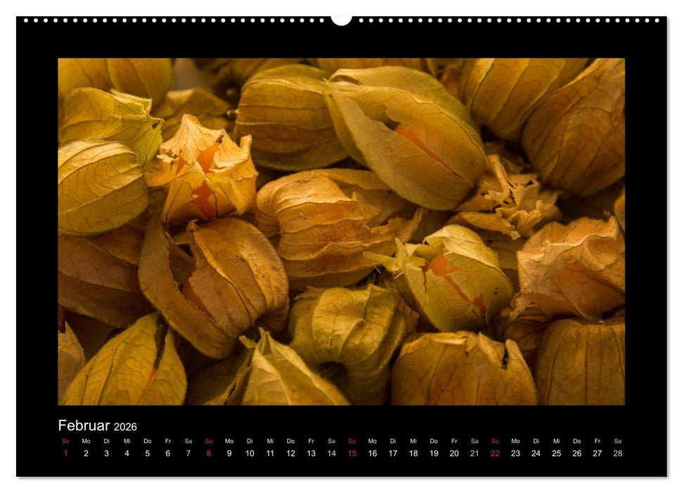 essbar – Buntes Obst und Gemüse (CALVENDO Wandkalender 2026)