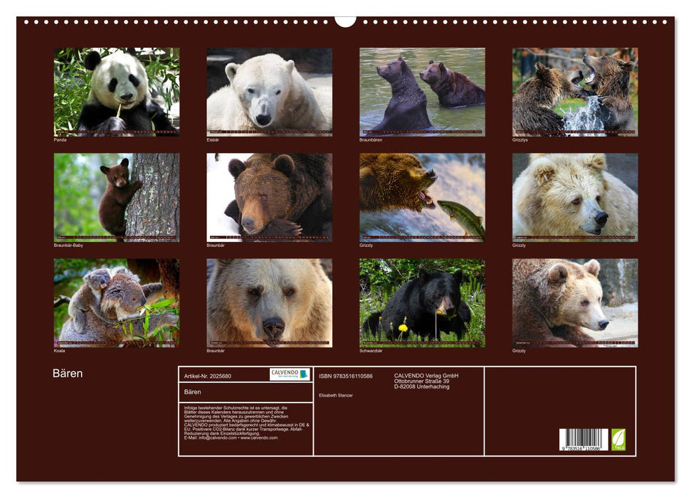 Bären (CALVENDO Wandkalender 2026)
