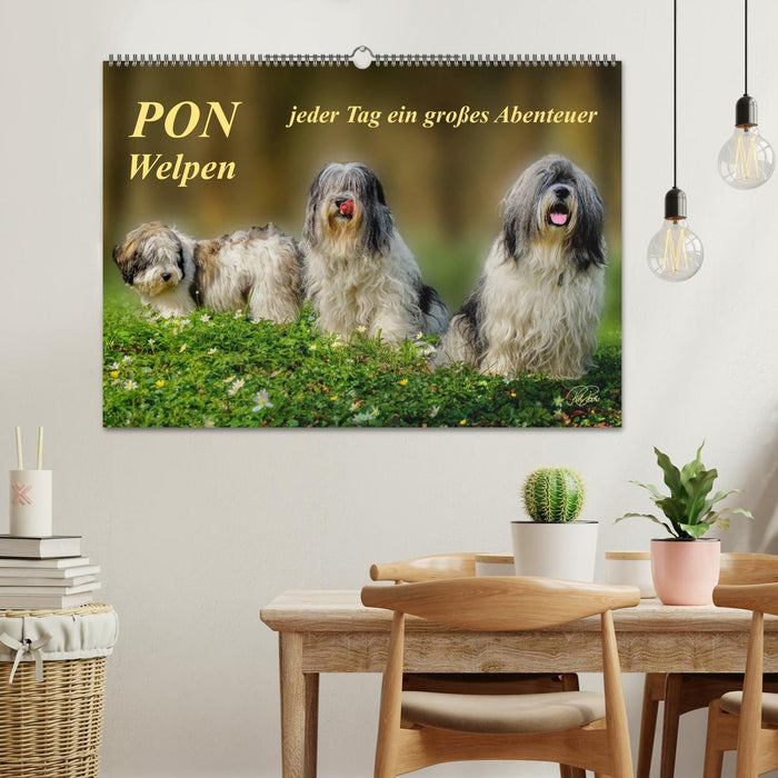 PON - Welpen, jeder Tag ein großes Abenteuer (CALVENDO Wandkalender 2026)