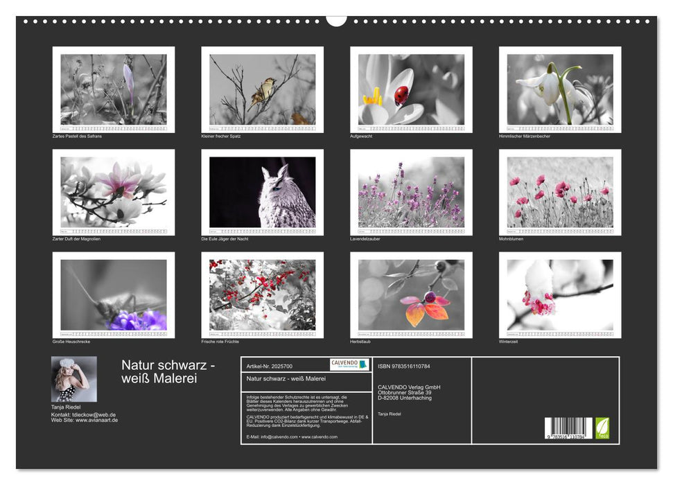 Natur schwarz - weiß Malerei (CALVENDO Wandkalender 2026)
