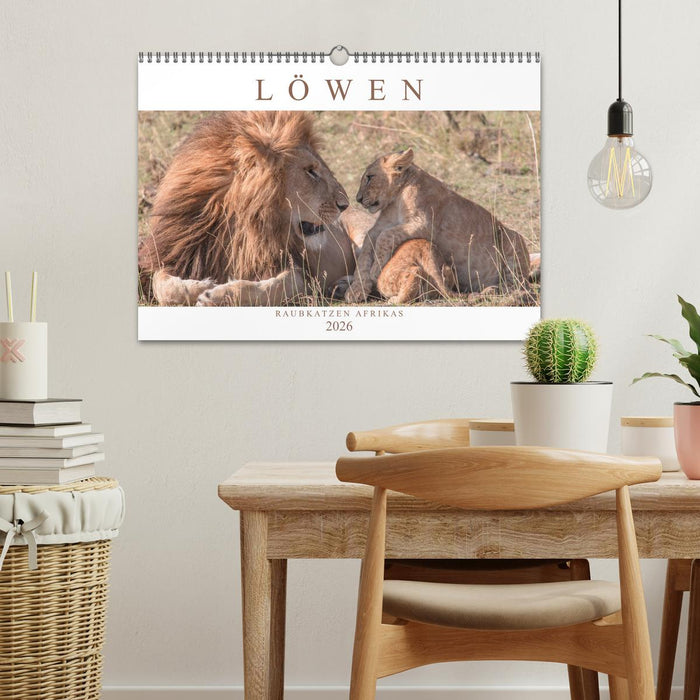 Löwen - Raubkatzen Afrikas (CALVENDO Wandkalender 2026)