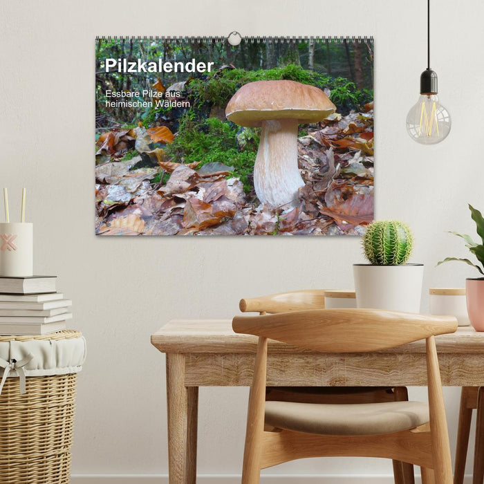 Pilzkalender (CALVENDO Wandkalender 2026)