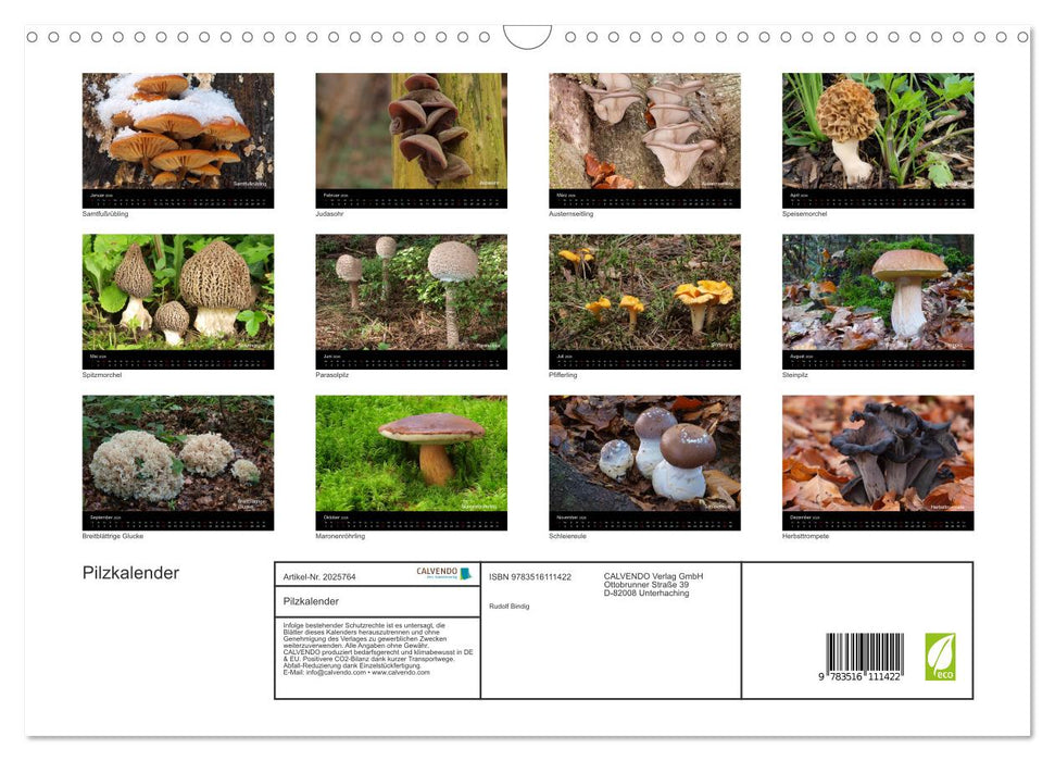 Pilzkalender (CALVENDO Wandkalender 2026)