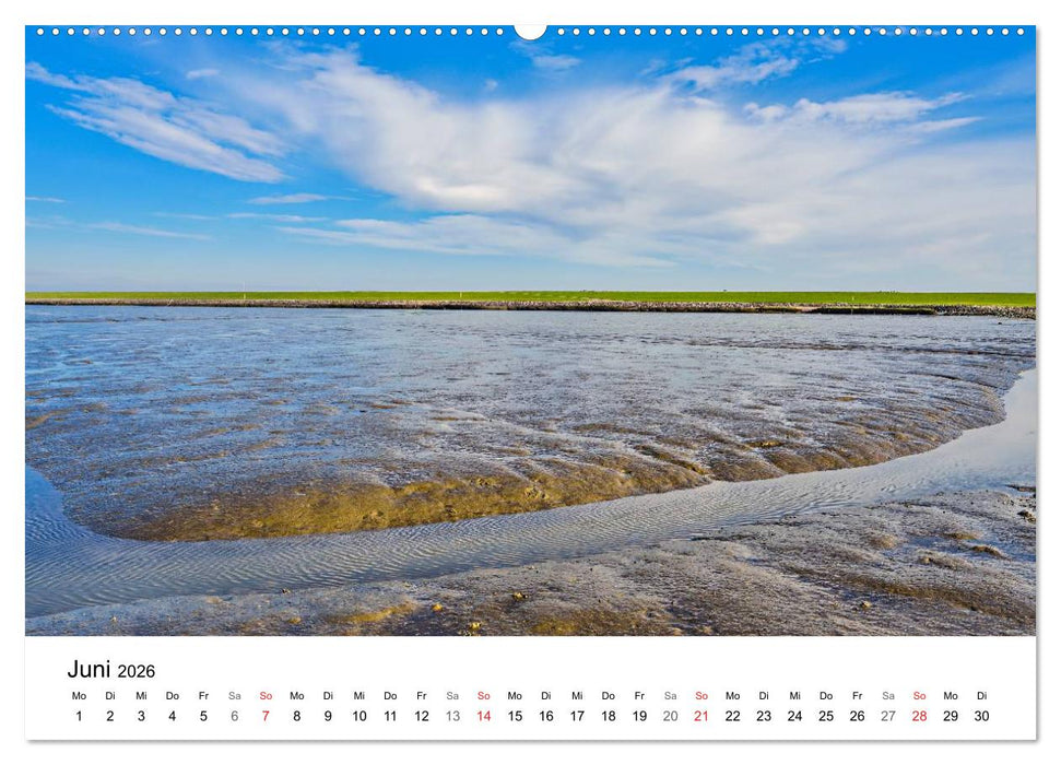 Dithmarschen - Der Landkreis (CALVENDO Wandkalender 2026)