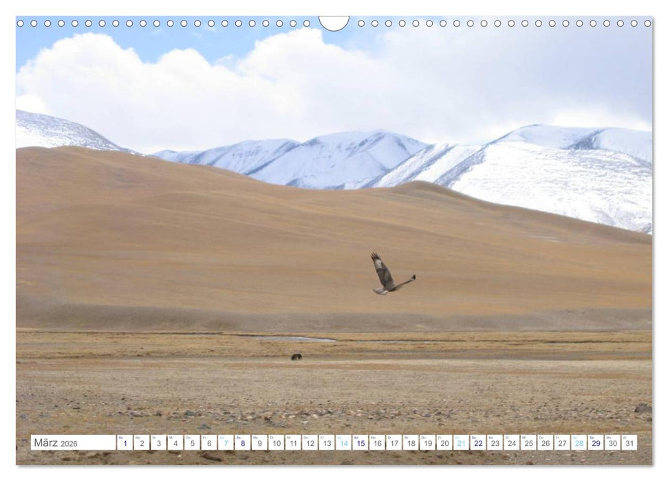 Tibet (CALVENDO Wandkalender 2026)
