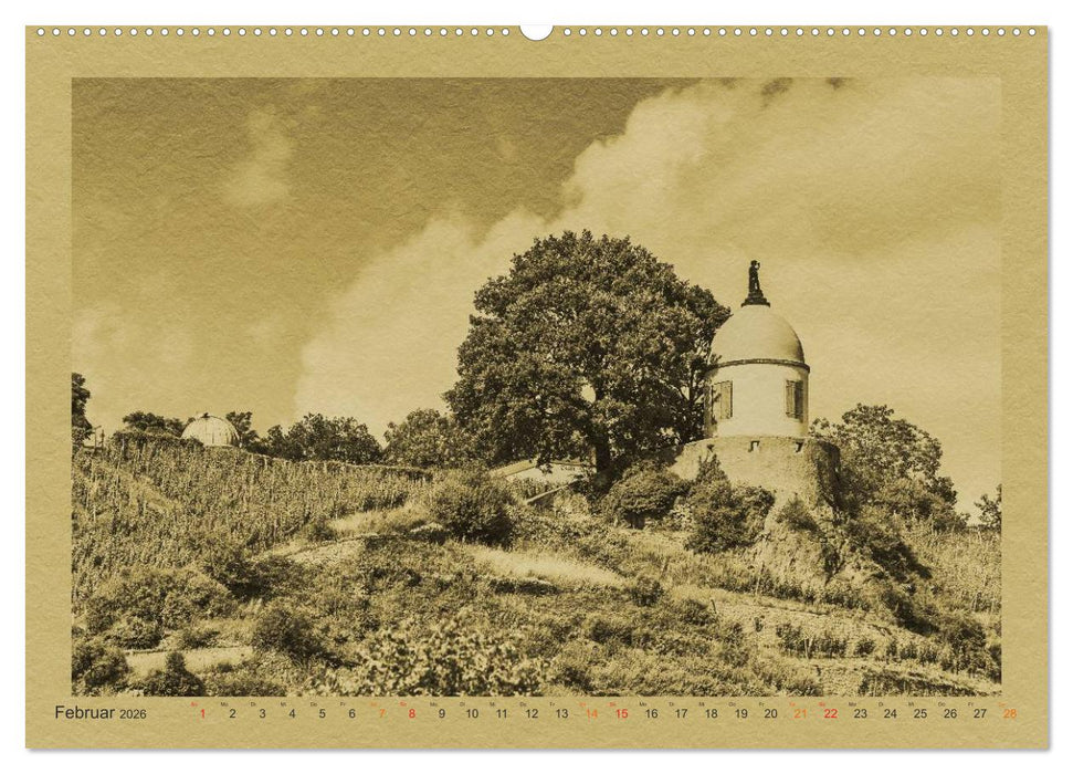 Radebeul - Ein Kalender im Zeitungsstil (CALVENDO Premium Wandkalender 2026)