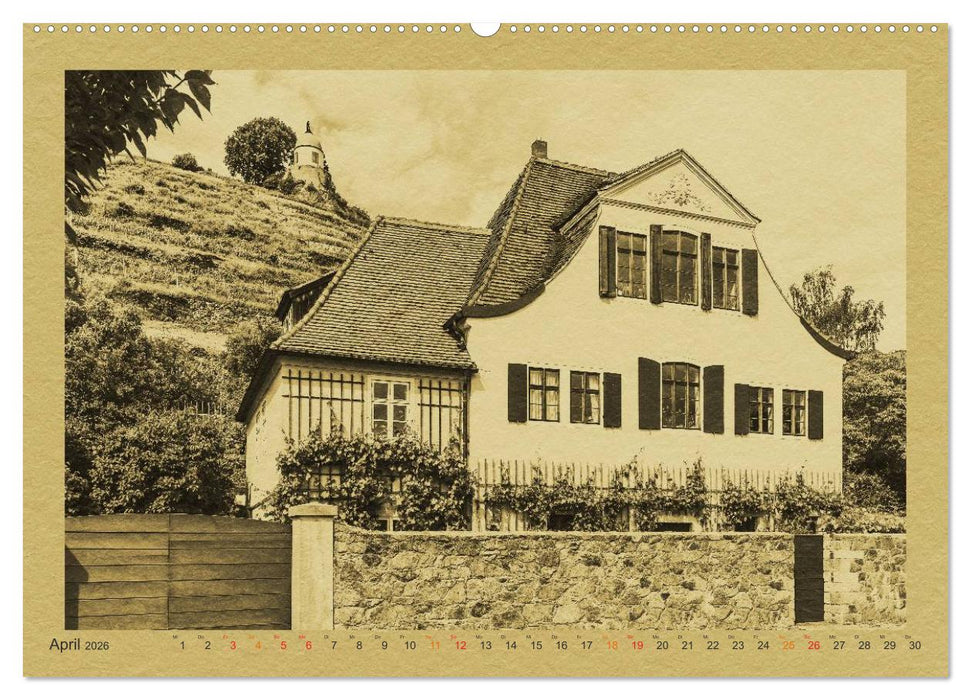 Radebeul - Ein Kalender im Zeitungsstil (CALVENDO Premium Wandkalender 2026)