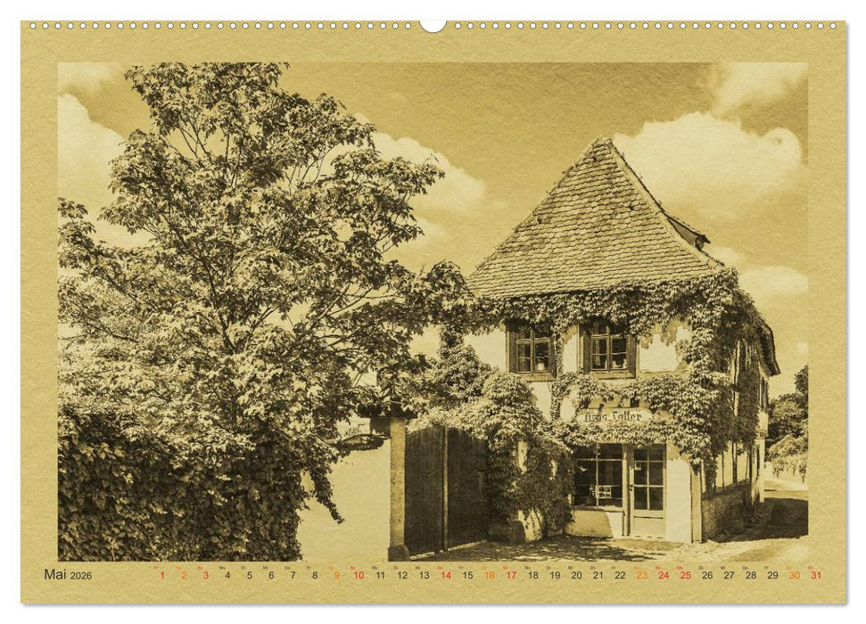 Radebeul - Ein Kalender im Zeitungsstil (CALVENDO Premium Wandkalender 2026)