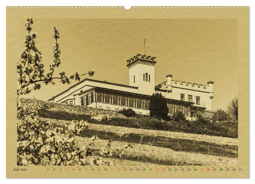 Radebeul - Ein Kalender im Zeitungsstil (CALVENDO Premium Wandkalender 2026)