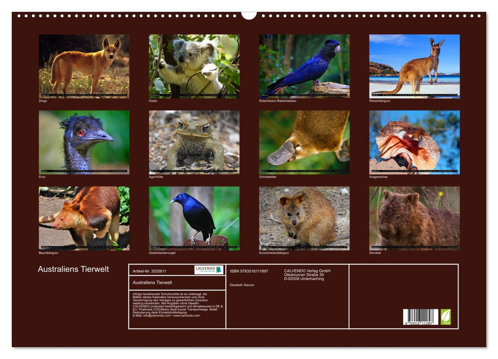 Australiens Tierwelt (CALVENDO Wandkalender 2026)