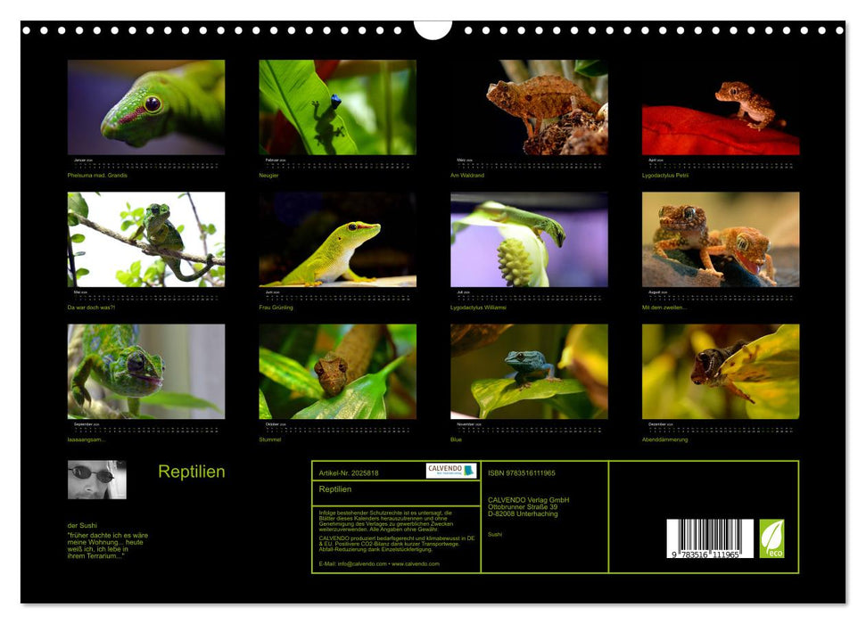 Reptilien (CALVENDO Wandkalender 2026)