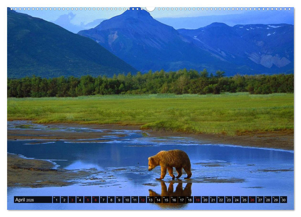 Alaska - Weites Land (CALVENDO Premium Wandkalender 2026)