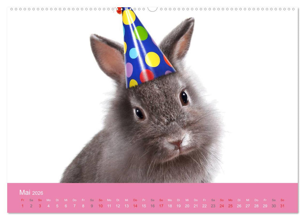Süße Tier-Babys! (CALVENDO Premium Wandkalender 2026)