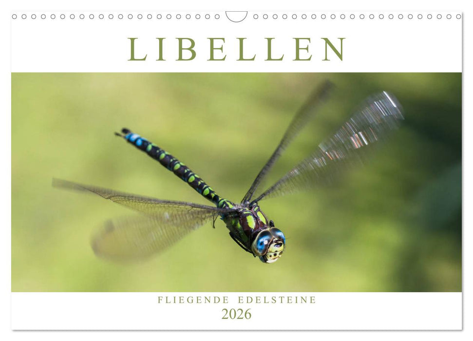 Libellen - Fliegende Edelsteine (CALVENDO Wandkalender 2026)