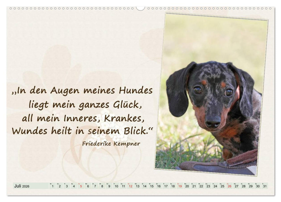 Mit Hundezitaten gut durchs Jahr / CH-Version (CALVENDO Premium Wandkalender 2026)