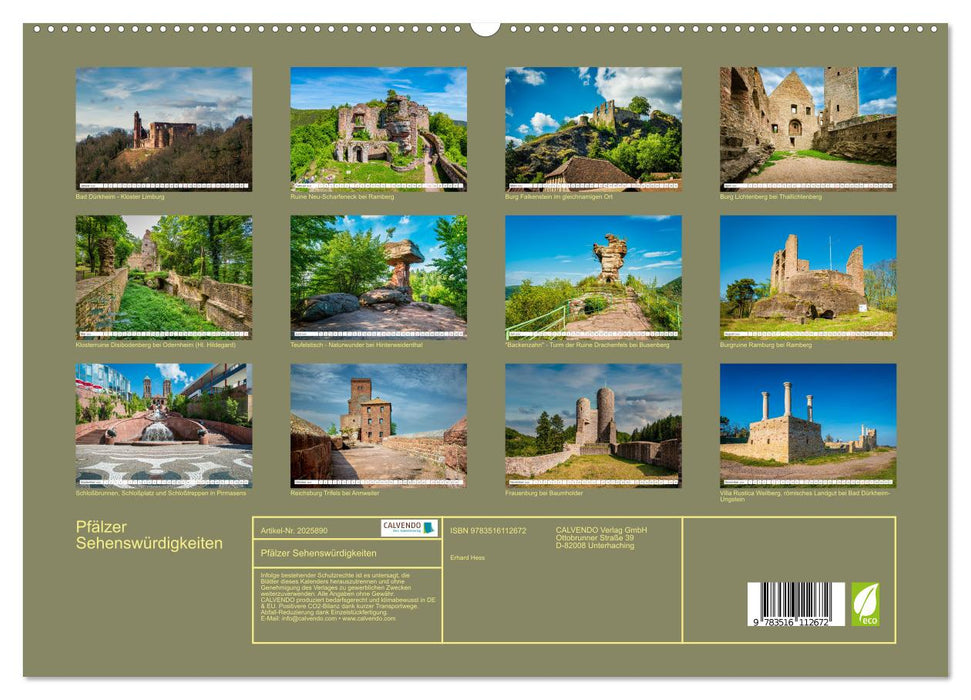 Pfälzer Sehenswürdigkeiten (CALVENDO Premium Wandkalender 2026)