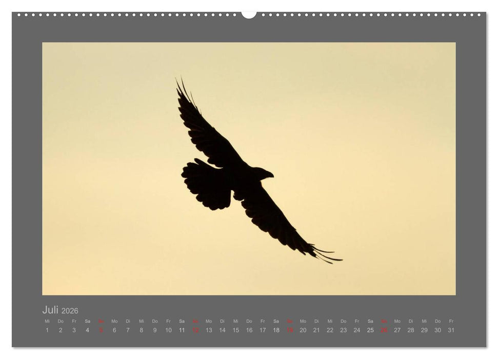 VÖGEL (CALVENDO Premium Wandkalender 2026)