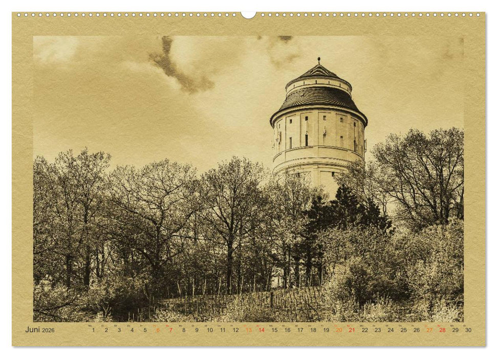 Radebeul - Ein Kalender im Zeitungsstil (CALVENDO Wandkalender 2026)