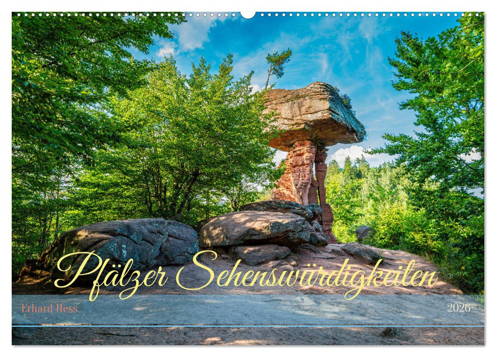 Pfälzer Sehenswürdigkeiten (CALVENDO Wandkalender 2026)